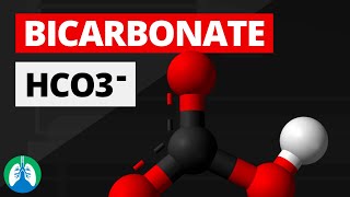 Bicarbonate HCO3  Quick Explainer Video DEFINITION [upl. by Ammamaria618]