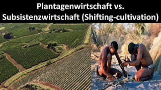 Plantagenwirtschaft vs Subsistenzwirtschaft Merkmale Vorteile  Nachteile Erdkunde Oberstufe [upl. by Butcher]