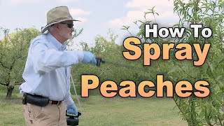 Spraying Peach Trees – Family Plot [upl. by Edualcnaej577]