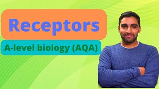 Receptors  Alevel Biology [upl. by Abihsat]