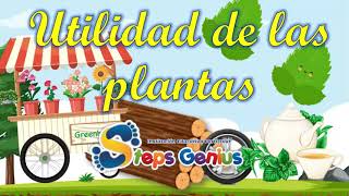 Utilidad de las plantas [upl. by Lucic]