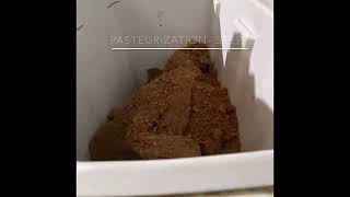 How to Pasteurise Coco Coir for Mushroom Substrate  easy [upl. by Wey]