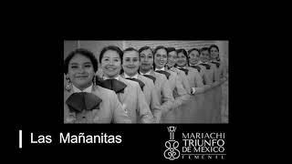 Las mañanitas  Mariachi Femenil Triunfo de México [upl. by Eniffit]