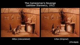 48fps Ladislaw Starewicz  The Cameramans Revenge  1912 [upl. by Towne]