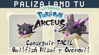 GUIA  Como Conseguir a Qwilfish de Hisui y evolucionar a Overqwil en Leyendas Pokémon Arceus [upl. by Alemac194]