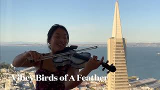 Electric Violin Covers PopHipHopRnBAfrobeats Instrumentals San Francisco Violinist Bay Area [upl. by Nabla]