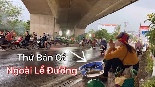 Sau Một Đêm Không Thể Tin Trúng Được Mẽ Cá Hai Cha Con Vác Về Ra Lề Đường Bán [upl. by Valeta]