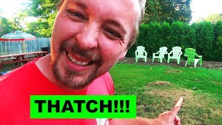 Fall Lawn Dethatching  Why and How to DeThatch Your Lawn the Easy Way [upl. by Grail]