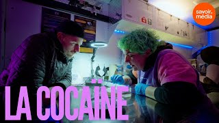 La cocaïne et ses dérivés  Substances [upl. by Lieberman]