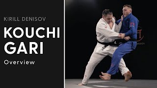 Kouchi Gari  Kirill Denisov  FULL SERIES ONLY AVAILABLE ON SUPERSTAR JUDO [upl. by Janeta560]