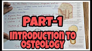 INTRODUCTION TO OSTEOLOGY  PART1 OF PART 3  what is osteology  what is BONE and OSTEON [upl. by Amaras]