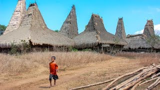 Indonesia  A tour on the island of Sumba [upl. by Iorio762]