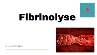 Fibrinolyse [upl. by Ariaz]