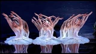 SWAN LAKE  Dance of the Swans  Act 2 American Ballet Theatre [upl. by Nosirb]