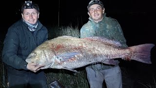 corvina negra gigante record general Lavalle 30kilos [upl. by Eileek]