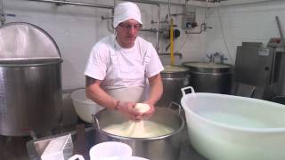 produzione mozzarella casaro giuseppe pellicoro [upl. by Cordelie97]