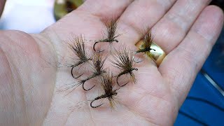 Tying a Rough Olive Dry Fly by Davie McPhail [upl. by Deste767]