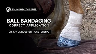 How to Bandage Your Horses Foot [upl. by Bayard513]