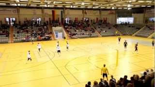 FaustballDM 2013 Finale TV Brettorf  TSV Pfungstadt [upl. by Aihsetel]