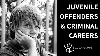 Juvenile Delinquency Two Types of Criminal Careers [upl. by Ferdie]