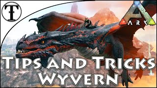 Fast Wyvern Taming Guide  Ark  Survival Evolved Tips and Ticks [upl. by Nottap]