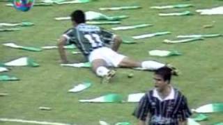 Palmeiras 11 Corinthians Palmeiras Campeão Brasileiro de 1994 [upl. by Olympium]