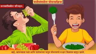 9th Science  Chapter15  Topic01  प्रस्तावना  Marathi Medium [upl. by Allesiram]