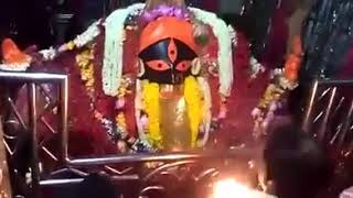 Maa Kali Arati at Kalighat Temple [upl. by Boesch]