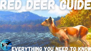 Hirschfelden Red Deer Guide TheHunter Call Of The Wild 2023 [upl. by Arrahs]