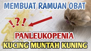 OBAT UNTUK KUCING MUNTAH KUNING DISTEMPER [upl. by Narruc]