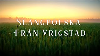 Slängpolska från Vrigstad [upl. by Fedak]