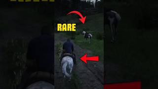 You Won’t Believe These Rare Horses Exist in RDR2 🐴 rdr2 reddeadredemption Rare Horses RDR2 [upl. by Ttocs]