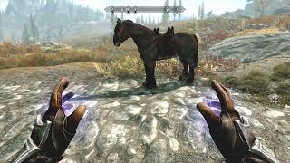 Skyrim  How To Level Up To 100 In Destruction Fast Old Method [upl. by Sharon]