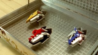 Chosen Power Rangers  E2 Day of the Dino  Dino Thunder  Power Rangers Official [upl. by Jayme]