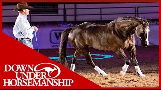 Clinton Anderson with his amazing horse quotMindyquot in Vegas 2010 [upl. by Christianity]