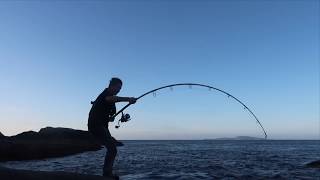 Fishing the South Coast rocks for huge fish [upl. by Bashuk107]