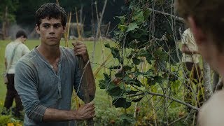 Newt amp Thomas Camp Fire Scene The Scorch Trials DELETED Scene [upl. by Cheadle]