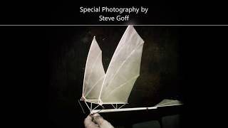 Building Birdy Ornithopter Plus Flight Video  Da Vinci Inspired [upl. by Namhcan]