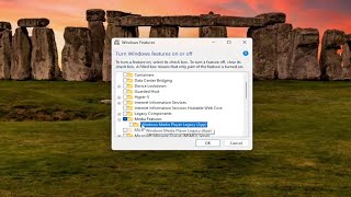 Unable to Install Windows Media Feature Pack  Quick Fix Guide [upl. by Celesta]