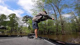 Bass Fishing on Lake DArbonne April 2021 [upl. by Rhonda]