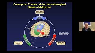 Dr Octavio Choi presents Brain Basics An Introduction to Cognitive Neuroscience [upl. by Noe]