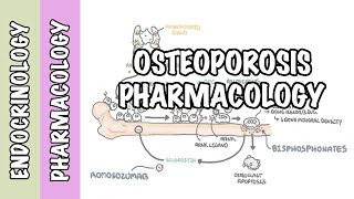 Osteoporosis pharmacology prevention and treatment bisphosphonates denosumab SERMs [upl. by Anade]