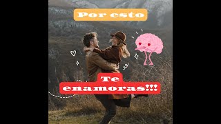 Neurobiología del amor ❤️❤️❤️ [upl. by Nnadroj]