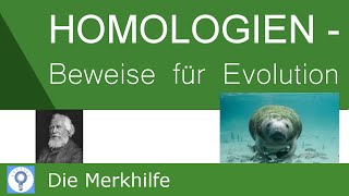 Homologien  Beweise für die Evolution  OntogeneseBiochemischampMolekularParasiten  Evolution 21 [upl. by Poore]