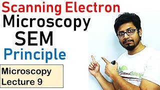 Scanning electron microscope principle working SEM [upl. by Rma692]