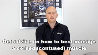 Corked bruised muscle advice by a Sports Physiotherapist Adelaide [upl. by Adlee]