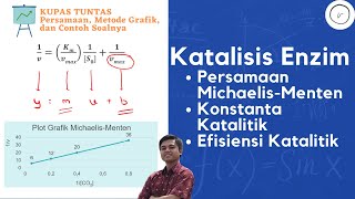 KATALISIS ENZIM PERSAMAAN MICHAELISMENTEN KONSTANTA KATALITIK DAN EFISIENSI KATALITIK 📈 [upl. by Edie]