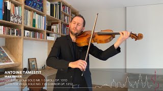 Antoine Tamestit  Max Reger Solo Suite No 1 in GMinor [upl. by Nallad]