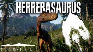 Herrerasaurus Gameplay The Isles New Dinosaurs Update [upl. by Ttezil360]