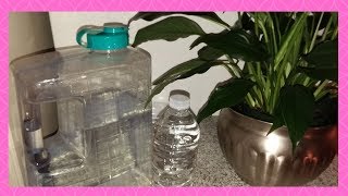 Proper way to Watering Peace Lily  Part 6 [upl. by Labinnah]